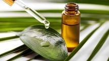 Tak Hanya Atasi Jerawat, Tea Tree Oil Juga Baik Untuk Kesehatan Rambut