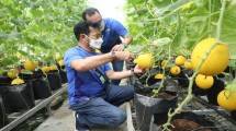 Mentan SYL dan Menkop UKM Siap Kembangkan Inovasi Perguruan Tinggi Berbasis Korporasi