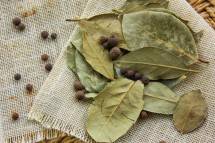 Daun Salam (Ist)