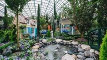 Gardens by the Bay untuk Tema Bulan ini, Blue Beauties (Foto:gardensbythebay.com.sg)