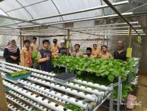 Hutama Karya Bisnis Start Up
