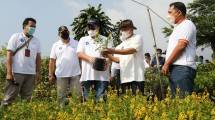 Jalin Sinergi dengan IPB, MenkopUKM Bakal Bangun Model Bisnis Modern bagi Petani Tanaman Hias Bogor