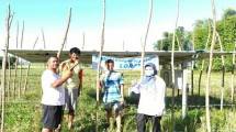 Bantuan Kementan Sumur Panel Surya, Food Estate Sumba Tengah Jalan Terus 