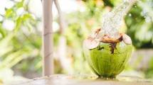 Air Kelapa