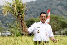 Gubernur DKI Jakarta Anies Baswedan