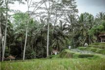 Menparekraf Ingin SDM di Desa Wisata Bali ditingkatkan