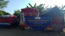 Bawang merah yang akan dikirim ke Ambon