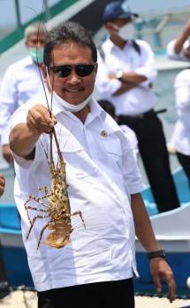Keras dan Tegas, Menteri Sakti Wahyu Trenggono Resmi Larang Ekspor Benur