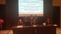 Industri RI-Tiongkok Sepakat Investasi US$ 1,63 M di Morowali