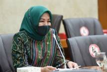 Anggota Komisi VI DPR RI Elly Rachmat Yasin 