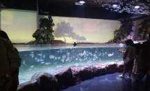 Pemberlakuan PPKM Mikro, Jakarta Aquarium & Safari Tutup Sementara