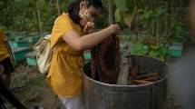 Gelar Bee Farm Tour, Madurasa Ajak Lapisan Masyarakat Kenali Keaslian Madu