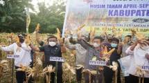 Petani bersama Menteri Pertanian Syahrul Yasin Limpo panen jagung