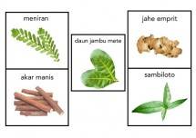Patut Dicatat! Ada 5 Herbal Alami Indonesia yang Dapat Membantu Menjaga Imun Tubuh