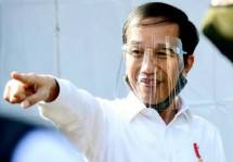 Presiden Jokowi (ist)