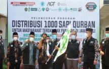 Luar Biasa! 1.000 Sapi Kurban Hadir untuk Masyarakat Terdampak Pandemi di Jawa-Bali
