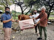 Yayasan Muslim Sinar Mas Land Sumbangkan 330 Hewan Kurban 