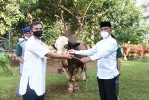 Dankormar Mayjen Suhartono Saksikan Penyembelihan 60 Hewan Kurban