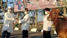 Gubernur ALL Mayjen Nur Alamsyah Serahkan Hewan Kurban