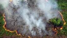 BMKG Deteksi 150 Titik Panas di Sumatera