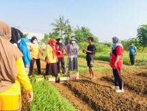 KIIC Fokus Kembangkan Program CSR untuk Masyarakat Sekitar Kawasan Industri
