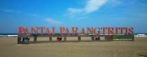 Wisata Pantai Parangtritis Bantul Yogyakarta (Foto Ist)