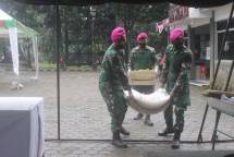 Prajurit Korps Marinir