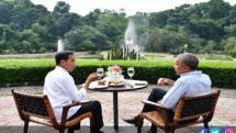 Gegara Corona, Jokowi: Sekarang Saya Minum Jamu Pagi Siang dan Malam