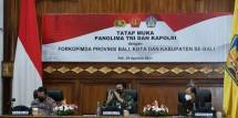 Panglima TNI Marsekal Hadi Tjahjanto