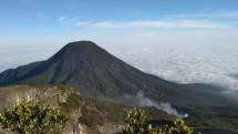 Taman Nasional Gunung Gede Pangrango (Dok: Gmap/Abhi Supryandi)