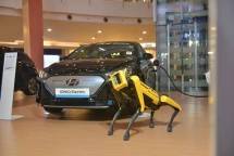 Hyundai Motors Indonesia Hadirkan Robot Pintar Berkaki Empat &ldquo;Spot&rdquo; 