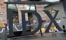 Pasar Modal Indonesia Perlu Kesatuan Pemahaman tentang Investasi Berkelanjutan
