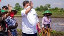 Menko Perekonomian Airlangga Hartarto