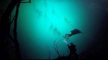 5 Foto Ini Buktikan Sungai Bawah Laut, Angelita Cenote Memang Indah