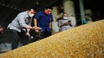 Menteri Pertanian Syahrul Yasin Limpo menyaksikan hasil produksi Jagung
