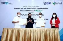 Menteri BUMN Erick Thohir