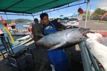 Udang, Cumi hingga Olahan Ikan, Ini Produk Indonesia yang Diburu di Singapura 