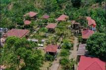 Bisa Belajar Tentang Kopi dan Budaya, Yuk! Berkunjung ke Desa Wisata Rigis, Lampung