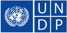 Direktur UNDP Asia-Pasifik Soroti Peran Penting Indonesia dalam Krisis Iklim