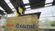 Pupuk Kaltim