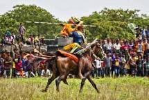 Empat Festival Budaya Ini Dukung Industri Pariwisata NTT