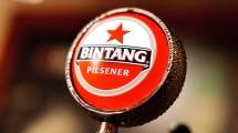 PT Multi Bintang Indonesia Tbk (MLBI)