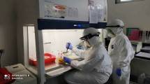 Kementan Siap Perkuat Peran Bioinformatika Bidang Penyakit Hewan di ASEAN