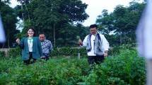 Ini Pesan Mentan SYL Agar Petani Milenial Sukses dan Raup Keuntungan