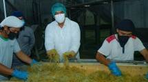 Ptl. Dirjen Industri Agro Kemenperin Putu Juli Ardika