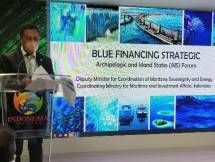 Deputi Bidang Kedaulatan Maritim dan Energi Kemenko Marves RI Basilio Araujo.