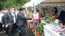 Menteri Pertanian Syahrul Yasin Limpo di stand pertanian