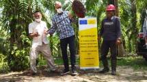Dubes UE Vincent Piket Kunjungi Kebun Sawit Petani 