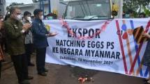 Seremoni pelepasan telur tetas