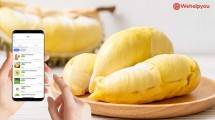 Festival Durian